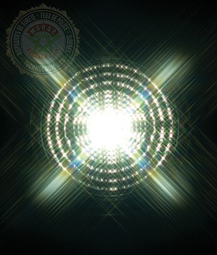 R4 Series Single LED Backup Light