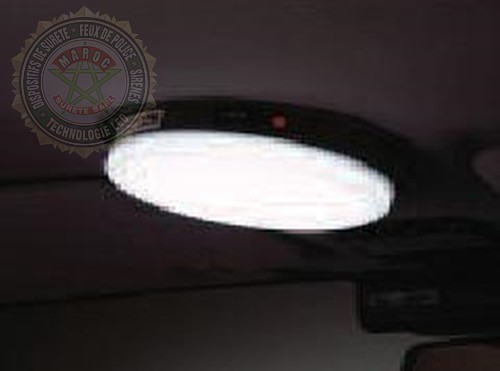 Dome Light Incandescent Bulb